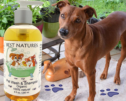 Organic Pet Wash and Shampoo for our Furry Friends