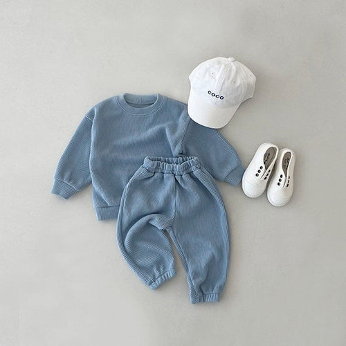 Baby Solid Color Long Sleeve Simple Style Hoodie Sets